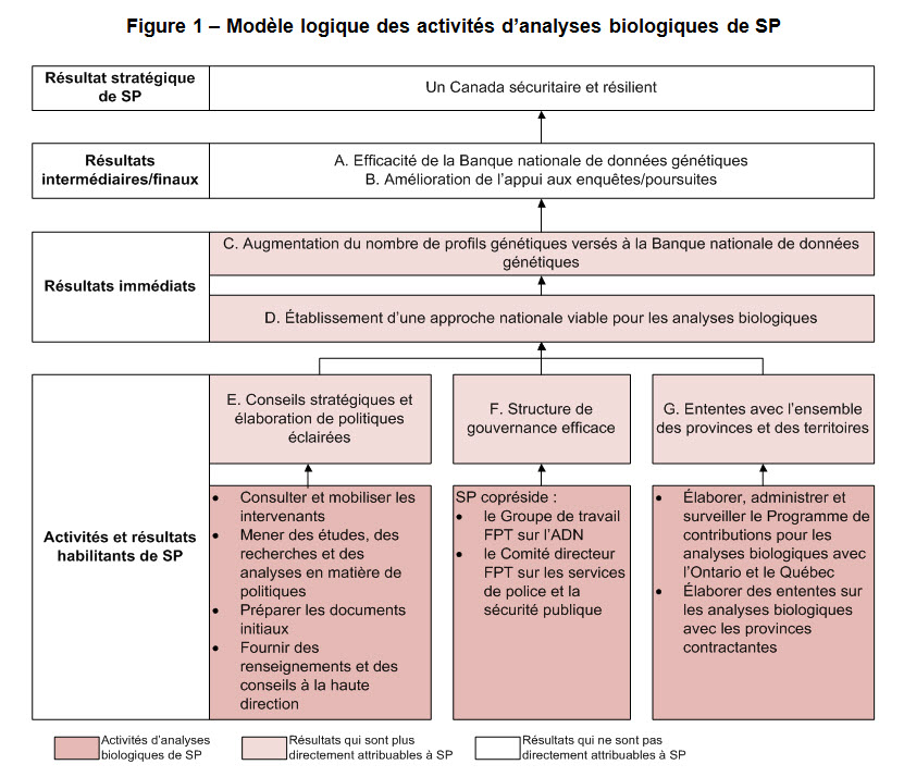 Figure 1 – Modèle logique des activités d'analyses biologiques de SP