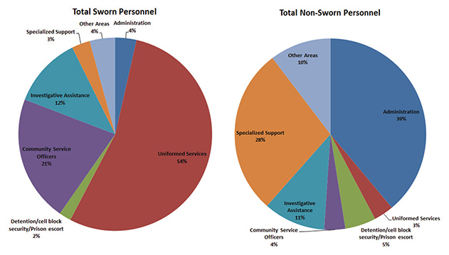 Figure 6: Distribution of Duties of Sworn and Non-Sworn Personnel by Category