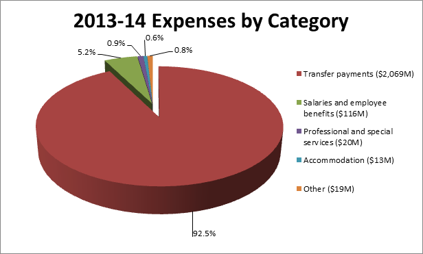 Statement of Operations and Departmental Net Financial Position by showing expenses by category